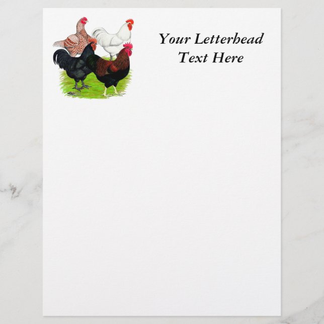 Heavy Breed Rooster Quartet (Front)