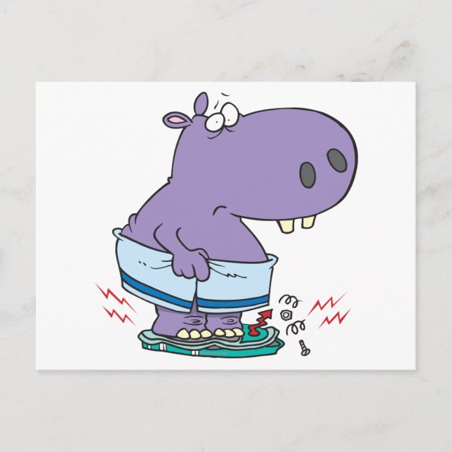 heavy hippo breaking scale diet humour postcard (Front)
