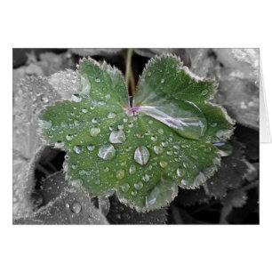 heavy rain