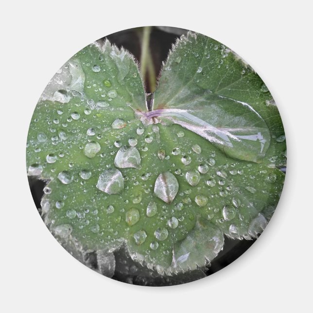 heavy rain magnet (Front)