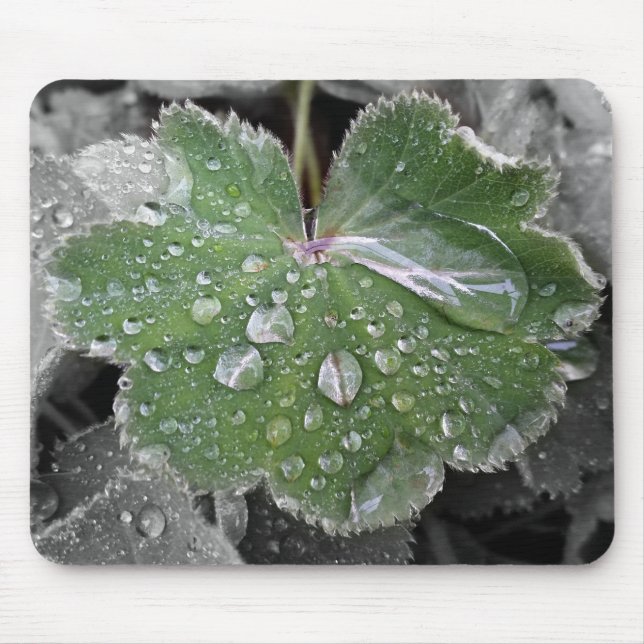 heavy rain mouse mat (Front)