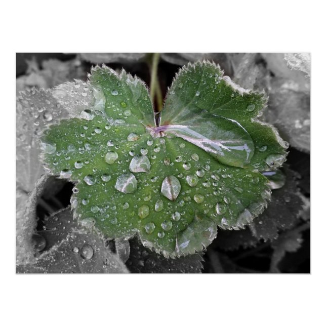 heavy rain poster (Front)