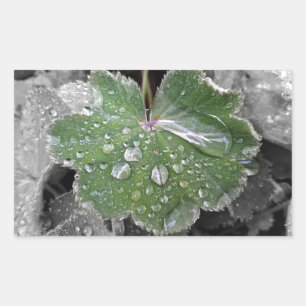 heavy rain rectangular sticker