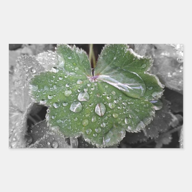 heavy rain rectangular sticker (Front)