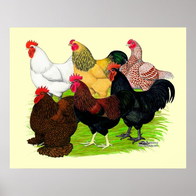 Heavy Rooster Assortment Poster (Front)