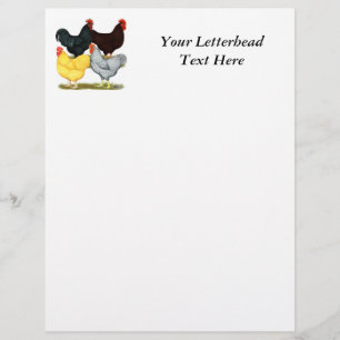 Heavy Rooster Chicken Quartet
