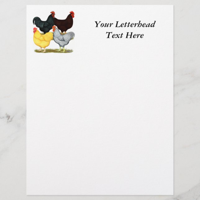 Heavy Rooster Chicken Quartet (Front)
