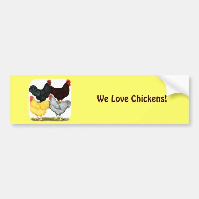 Heavy Rooster Chicken Quartet Bumper Sticker (Front)