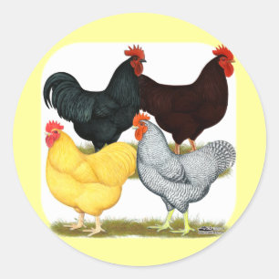 Heavy Rooster Chicken Quartet Classic Round Sticker