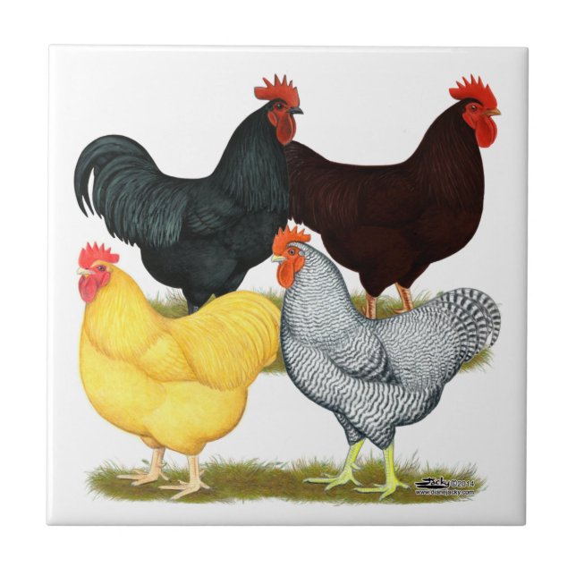 Heavy Rooster Chicken Quartet Tile (Front)