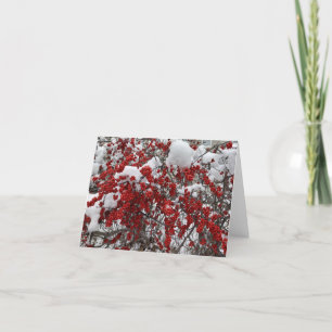 Heavy Snow on Red Berries Note Card