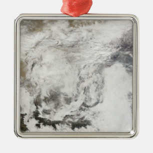 Heavy snowfall in China Metal Tree Decoration