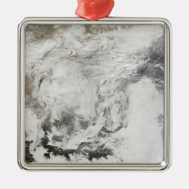 Heavy snowfall in China Metal Tree Decoration (Front)