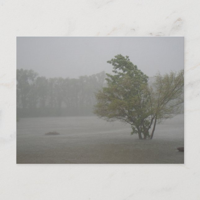 Heavy Windy Storm over a already Flooded Lake Postcard (Front)