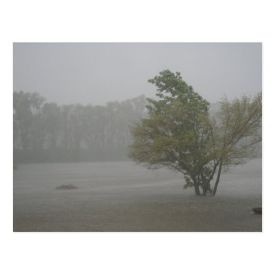Heavy Windy Storm over a already Flooded Lake Postcard