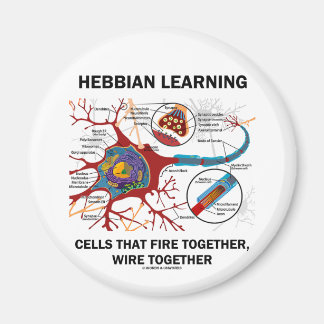 Hebbian Learning Cells Fire Together Wire Together Magnet