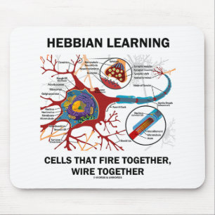 Hebbian Learning Cells Fire Together Wire Together Mouse Mat