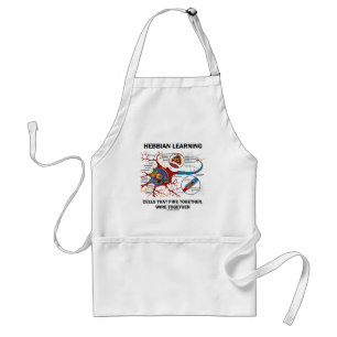Hebbian Learning Cells Fire Together Wire Together Standard Apron