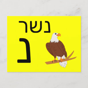 Hebrew נ flash card