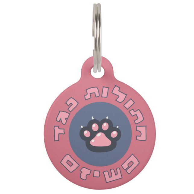 Hebrew Cats Against Fascism | Jewish Activism  Pet Tag (Front)