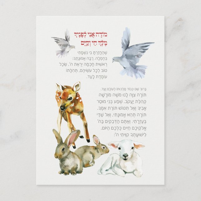 Hebrew Modeh Ani Morning Prayer Jewish Children Postcard (Front)