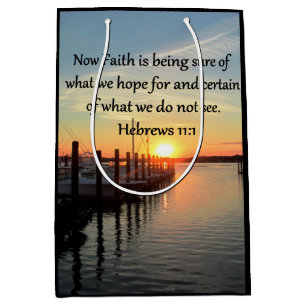 HEBREWS 11:11 SUNSET DESIGN MEDIUM GIFT BAG