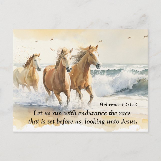 Hebrews 12:1 Let us Run with Endurance Bible Horse Postcard (Front)
