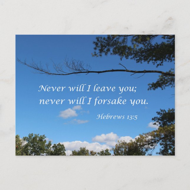 Hebrews 13:5 Never will I leave you Postcard (Front)