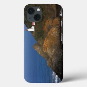 Heceta Head Lighthouse, Cape Creek, Oregon, USA iPhone 13 Case