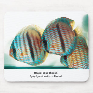 Heckel Blue Discusのマウスパッド Mouse Mat