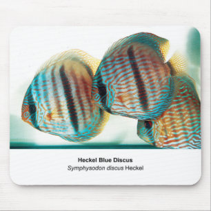 Heckel Blue Discus Mouse Mat