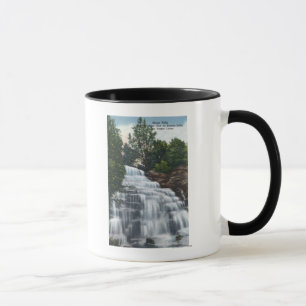 Hector Falls near Seneca Lake View Mug
