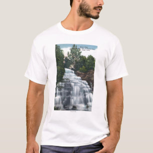 Hector Falls near Seneca Lake View T-Shirt