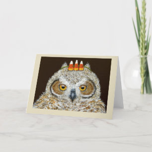 Hector the owlet card