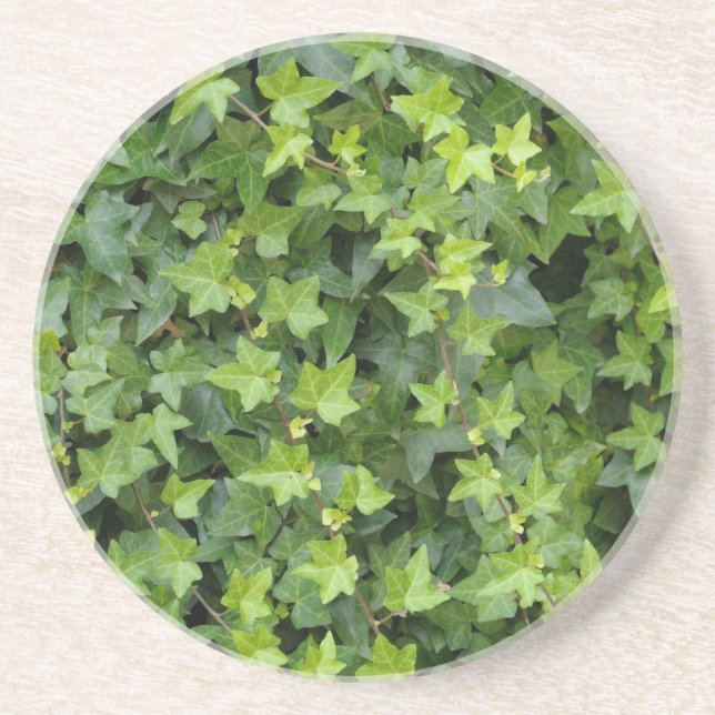 hedera coaster (Front)