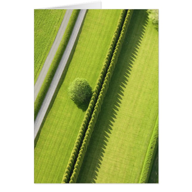 Hedge in The Hamptons (Front)