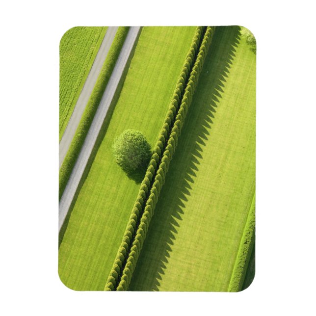 Hedge in The Hamptons Magnet (Vertical)