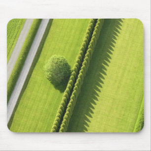 Hedge in The Hamptons Mouse Mat