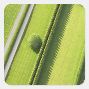 Hedge in The Hamptons Square Sticker