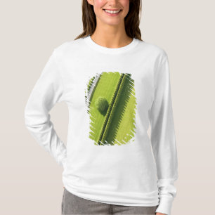 Hedge in The Hamptons T-Shirt