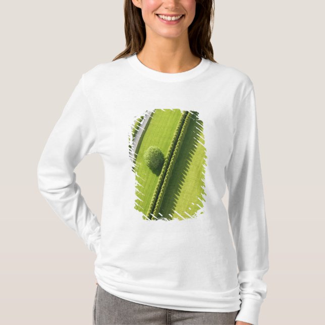 Hedge in The Hamptons T-Shirt (Front)