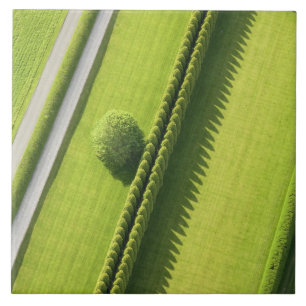 Hedge in The Hamptons Tile