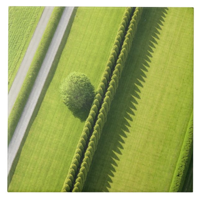 Hedge in The Hamptons Tile (Front)