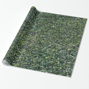 Hedge Leaves Foliage Texture Wrapping Paper