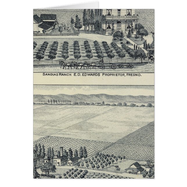 Hedge Row Vineyard, Fresno (Front)