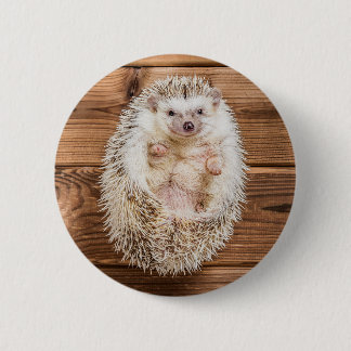 Hedgehog 6 Cm Round Badge
