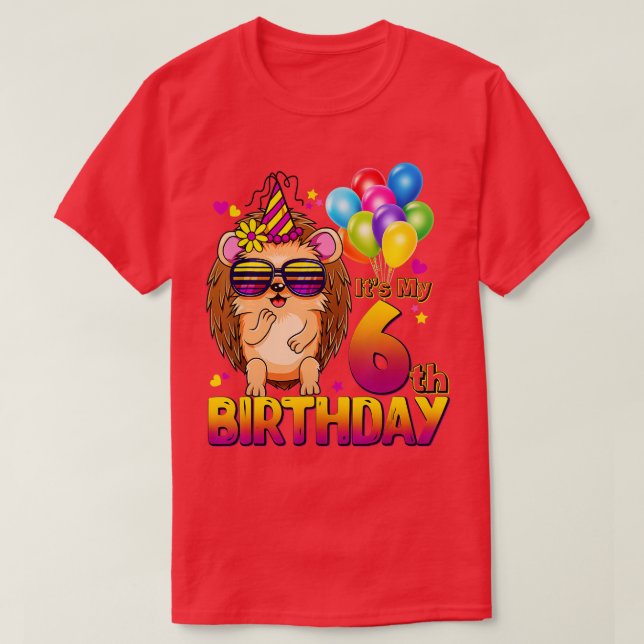 Hedgehog 6th Birthday Shirt 6 Years Old Hedgehog B (Design Front)