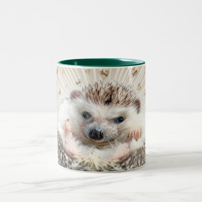 Hedgehog A Special Kind Of Love Mug (Center)