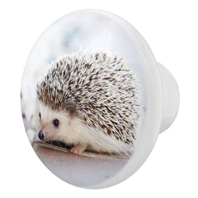 Hedgehog Baby Ceramic Knob (Right)