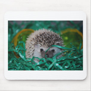 Hedgehog Baby in Easter Grass Mouse Mat